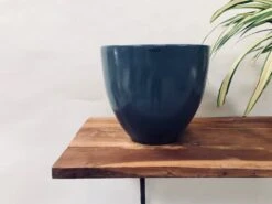 Echoing Eternity (Slim) - Grey -Care Flowering Shop 105LMG