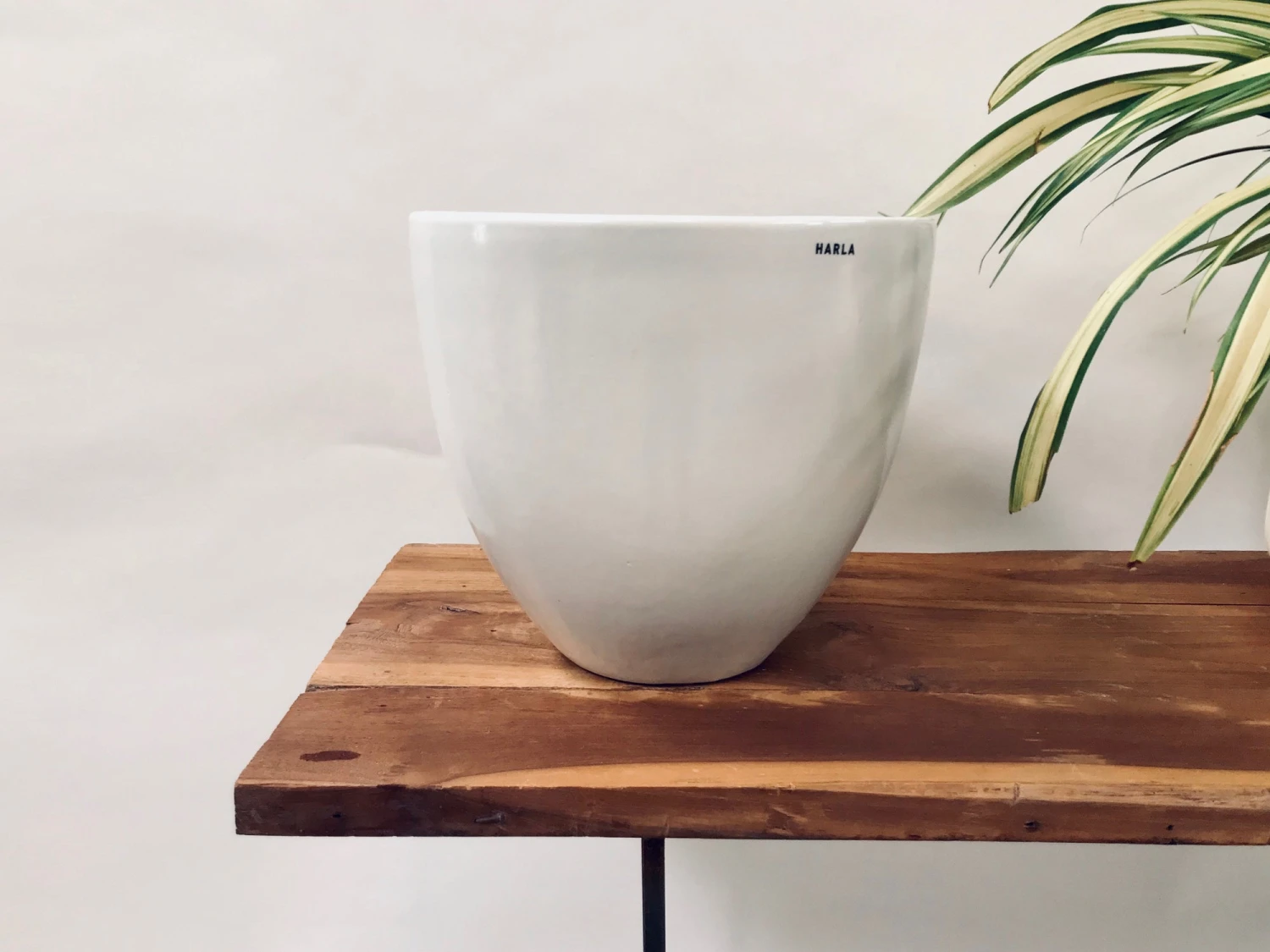 Echoing Eternity (Slim) - White 3 Echoing Eternity (Slim) - White - Image 3