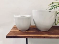 Echoing Eternity (Slim) - White