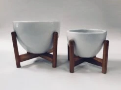 Echoing Eternity (Fat) With Wooden Stands - White