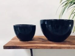 Echoing Eternity (Fat) - Black