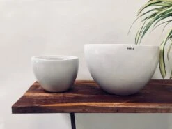 Echoing Eternity (Fat) - White