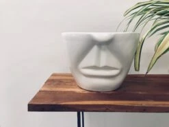 Unwavered Love - Uncle 6 Unwavered Love - Uncle -Care Flowering Shop 109LMW