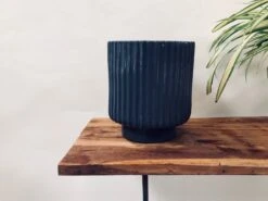 Dark Affinity - Grey 8 Dark Affinity - Grey -Care Flowering Shop 111LMG