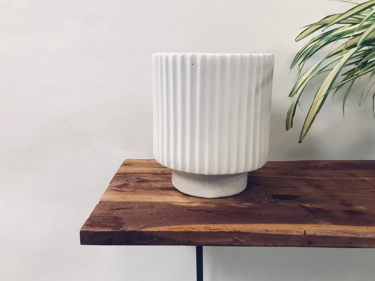 Dark Affinity - White 4 Dark Affinity - White - Image 4