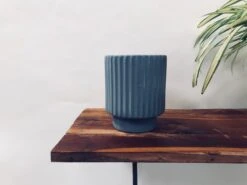 Dark Affinity - Grey 7 Dark Affinity - Grey -Care Flowering Shop 111MMG