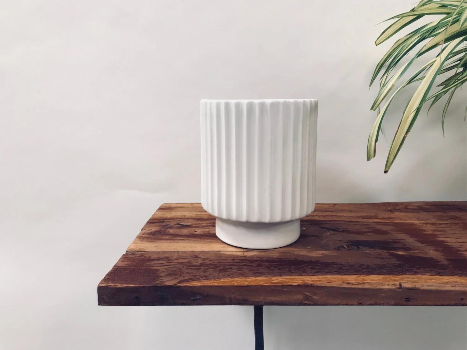 Dark Affinity - White 3 Dark Affinity - White - Image 3