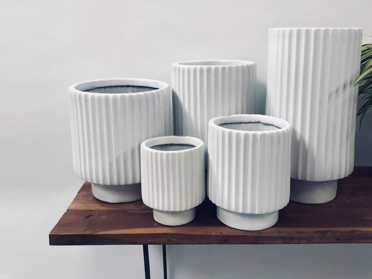 Dark Affinity - White 1 Dark Affinity - White