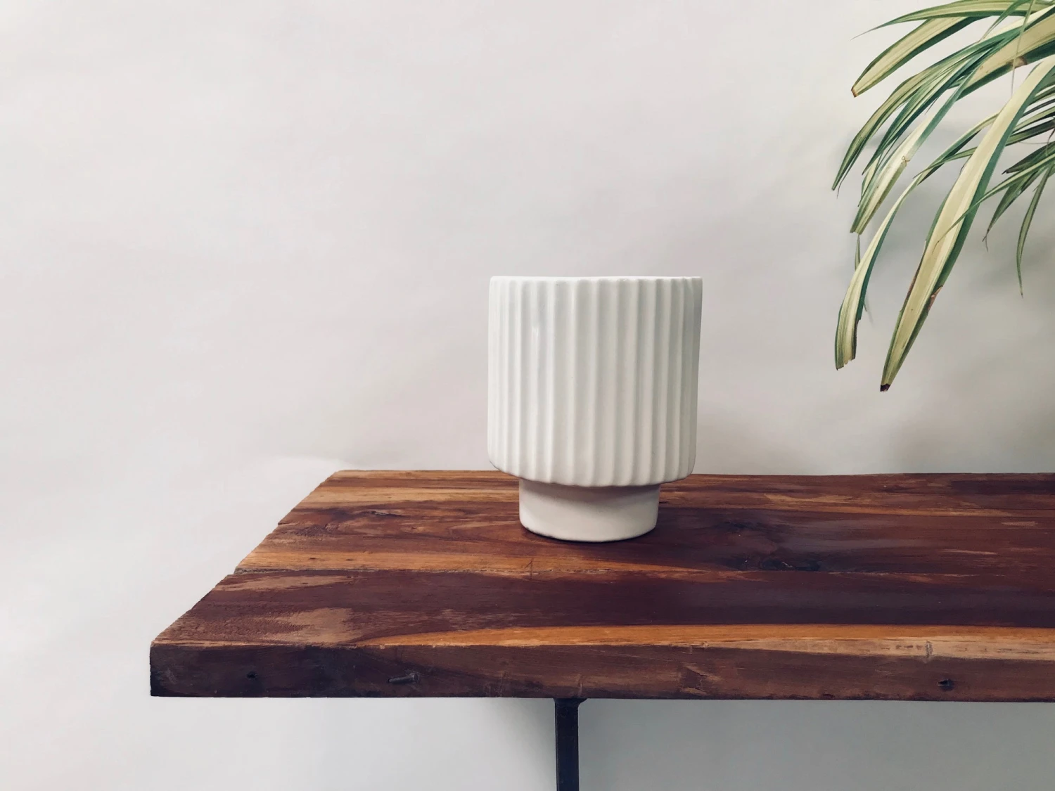 Dark Affinity - White 2 Dark Affinity - White - Image 2