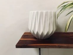 Precious Horcrux - White -Care Flowering Shop 112LMW