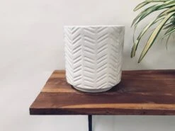 Loved Flowers - White -Care Flowering Shop 115LMW