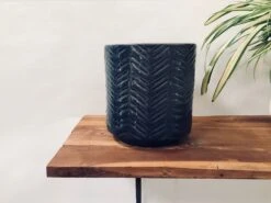 Loved Flowers - Grey -Care Flowering Shop 115LTG