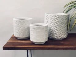 Loved Flowers - White