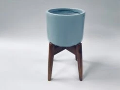 Crimson Sky With Wooden Stand -Care Flowering Shop 117MBL 2