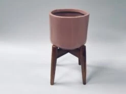 Crimson Sky With Wooden Stand -Care Flowering Shop 117MPK 2