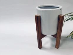 Gleaming Stars With Wooden Stand