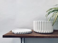 Fleeting Bliss - Medium - White