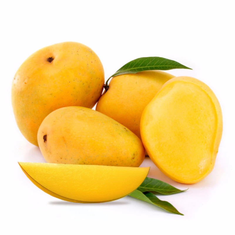 Mango Kesar (Grafted)- Fruit Plants & Tree 1 Mango Kesar (Grafted)- Fruit Plants & Tree