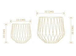 Precious Horcrux - White -Care Flowering Shop DIMENSIONS 460556c5 3f47 4bc2 bad6 968aef95d5b8