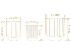 Dark Affinity - White 9 Dark Affinity - White -Care Flowering Shop DIMENSIONS 60e692bd 9336 49ce b9e1 2a25de0a9f33