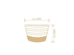 Care Flowering Shop -Care Flowering Shop DIMENSIONS 94858fae e452 4260 a315 f012f3796cfd