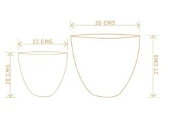 Echoing Eternity (Slim) - White 7 Echoing Eternity (Slim) - White -Care Flowering Shop DIMENSIONS b0ff5536 7035 4144 9a57 29abe01d2440