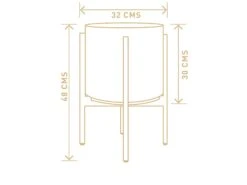 Gleaming Stars With Wooden Stand -Care Flowering Shop DIMENSIONS f029442f 5f4e 4ccc aacf c1bee1e60b99