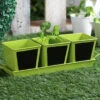 Set Of Three Chalk Board Painted Herb Pots Green