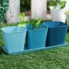 Set Of Three Herb Pots Blue