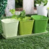 Set Of Three Herb Pots Green