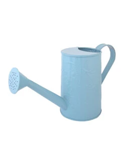 Design Embossed Watercane Blue -Care Flowering Shop GG EWCB 4