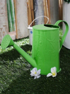Design Embossed Watercane Green