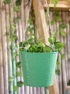 Hanging Bucket Green