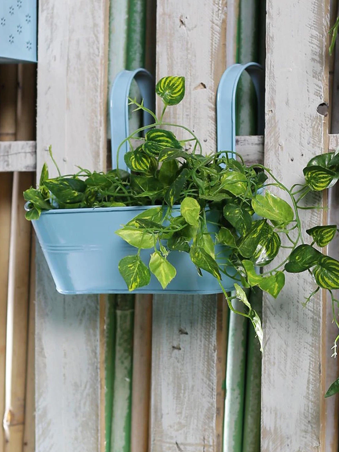 Oval Railing Plnater Big Blue 1 Oval Railing Plnater Big Blue