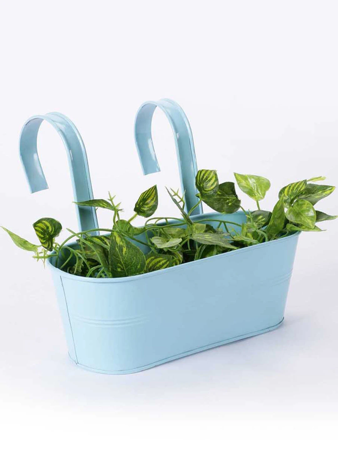 Oval Railing Plnater Big Blue 2 Oval Railing Plnater Big Blue - Image 2