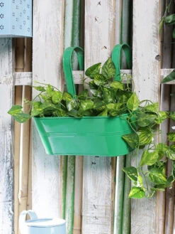 Oval Railing Planter Big Green