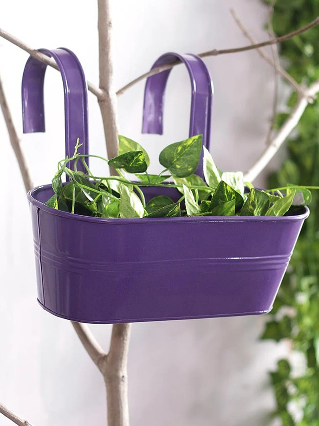 Oval Railing Planter Big Purple 1 Oval Railing Planter Big Purple