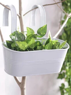 Oval Railing Planter Big White
