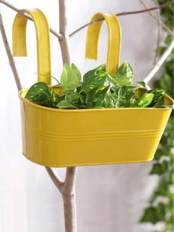 Oval Railing Planter Big Yellow
