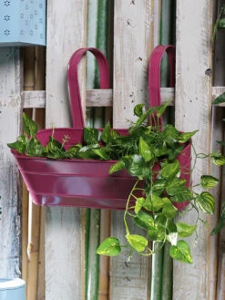 Oval Railing Planter Large Pink
