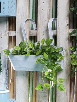 Oval Railing Planter Large White