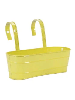 Oval Railing Planter Large Yellow 5 Oval Railing Planter Large Yellow -Care Flowering Shop GG ORLY 1