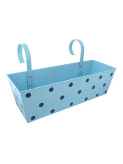 Polka Dot Rectangle Planter Blue -Care Flowering Shop GG PDRB 3