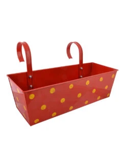 Polka Dot Rectangle Planter Red -Care Flowering Shop GG PDRR 5