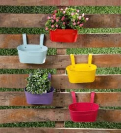 Set Of Five 8 Inches Oval Railing Planters