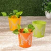 Set Of Three Mini Butterfly Pots