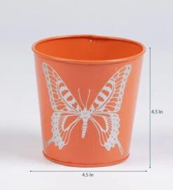 Set Of Three Mini Butterfly Pots -Care Flowering Shop SETBUTMINI 3