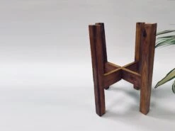 Gleaming Stars With Wooden Stand -Care Flowering Shop WOODENSTAND a692bfd5 502d 4441 8469 f35005c0ac49