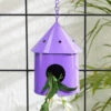 Round Hut Bird House Purple